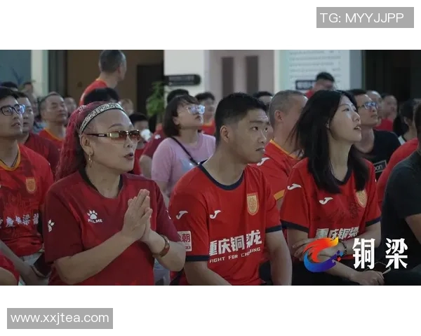 重庆足球队的战术风格与球迷热情的深度剖析与展望