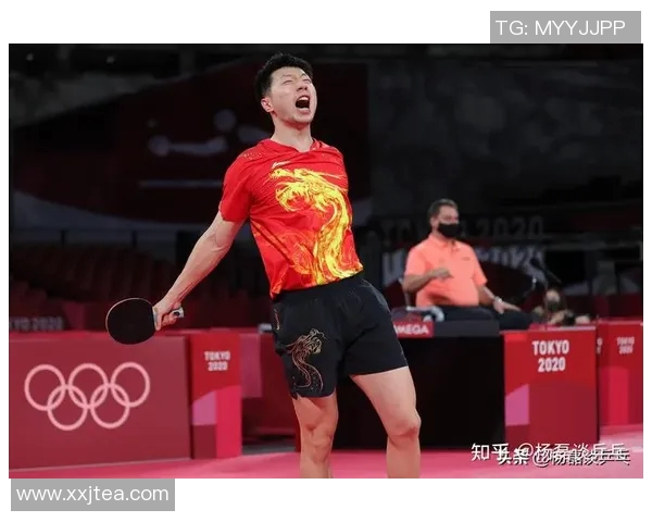 深圳乒乓球队技术深度解析与战术创新探讨