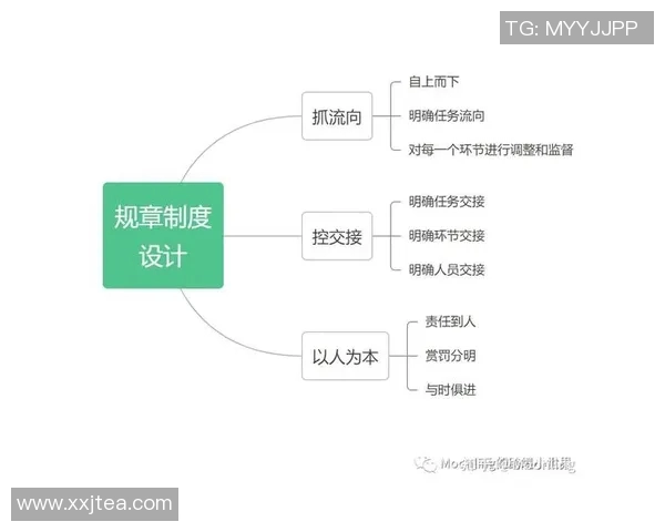 以训练为核心构建高效团队培养体系提升组织整体执行力与创新能力