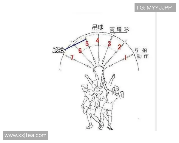 深入分析上海羽毛球队的整体压制战术及其对比赛的影响