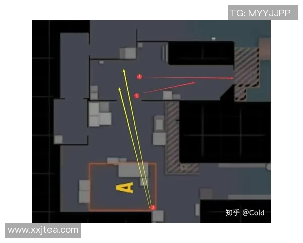 CSGO战术分析：深入探讨TES在区域防守中的策略与执行