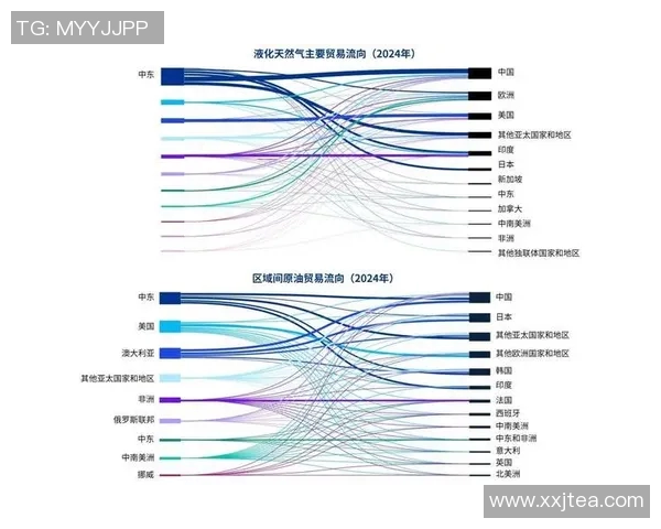 数据分析揭示LNG在全球能源转型中的关键作用与未来发展潜力