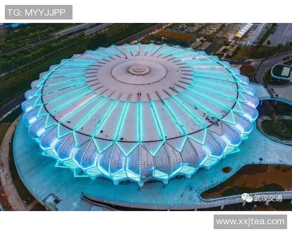 西安网球队的精神探寻与竞技魅力全景揭秘