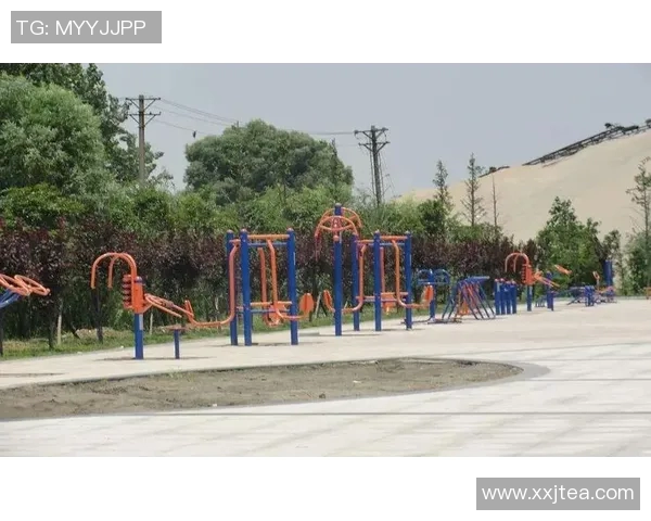 浦东健身器材市场：哪里可以买到最优质的设备？